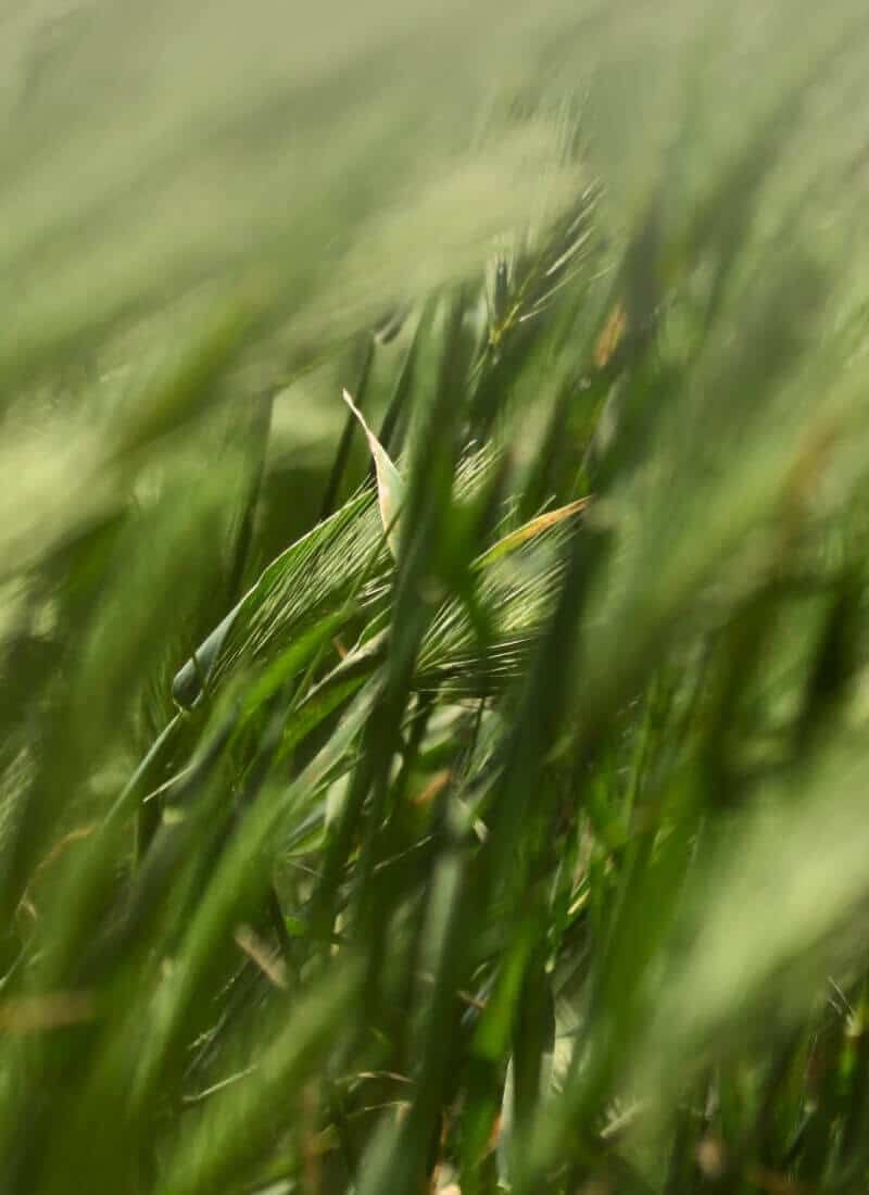energy-3
